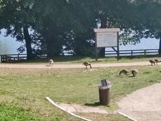  Appartement � vendre 4 pi�ces 74 m�