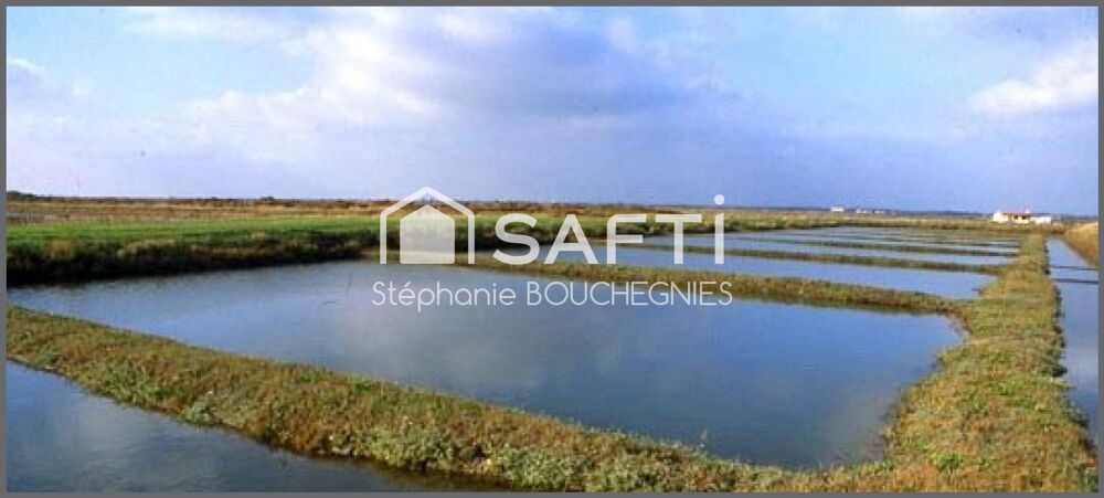   DOMAINE MARITIME RARE – SITE CONCHYLICOLE & AQUACOLE – ÎLE D'OLÉRON 