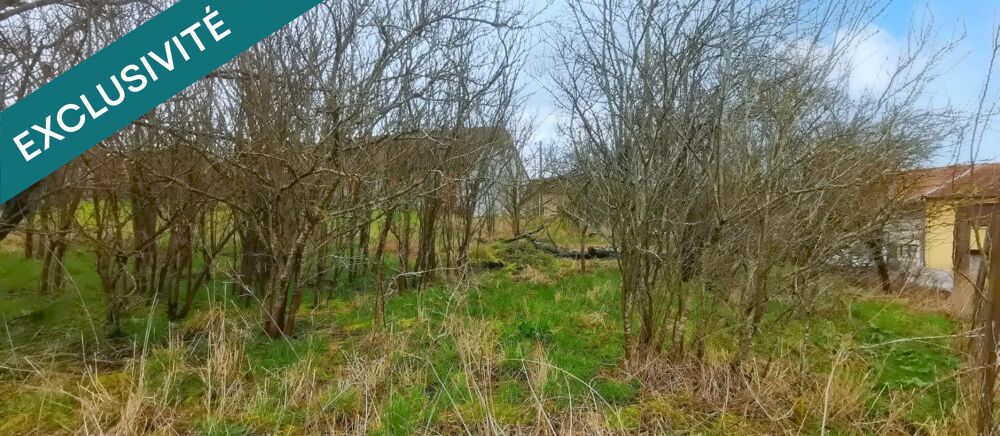 Vente Terrain Terrain constructible de 640 m² Pange