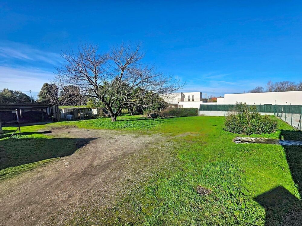 Vente Immeuble Beaucoup de potentiel pour cette belle Toulousaine Toulouse