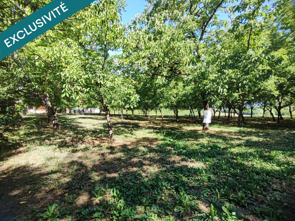 Vente Terrain Terrain à bâtir de 990m² non viabilisé. La riviere