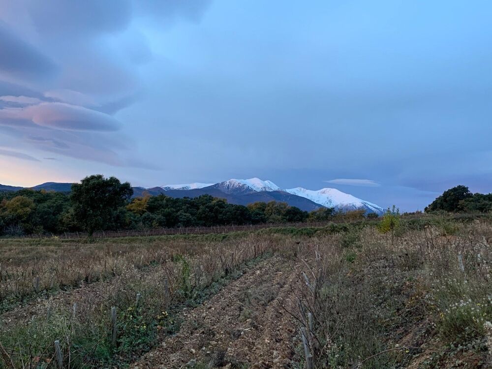 Vente Terrain Domaine agricole d'exception au cœur des Aspres Oms