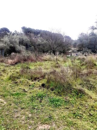  Terrain � vendre 6381 m�