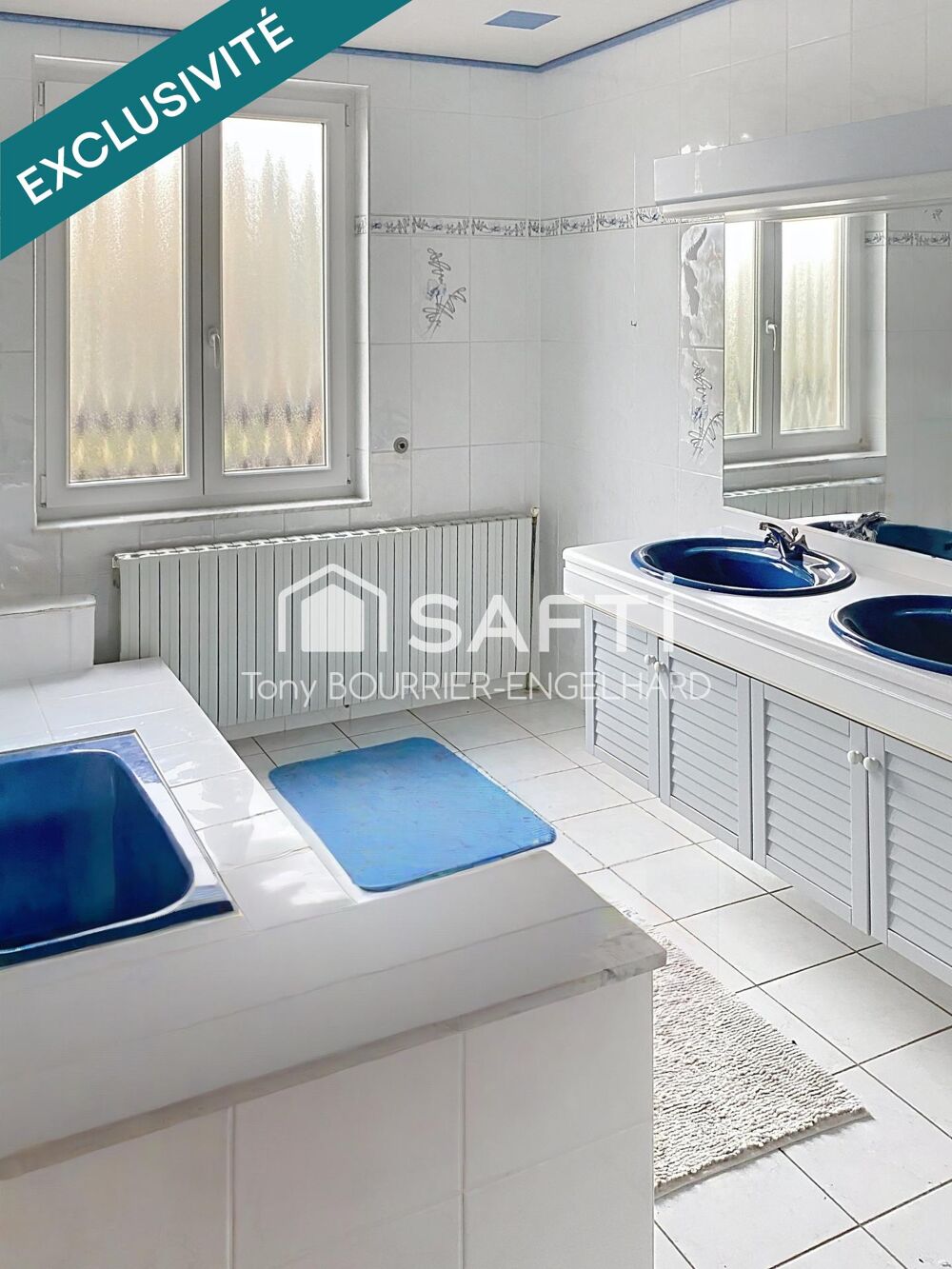 Vente Maison Maison de 170 m2 avec grand terrain et étang Dalem