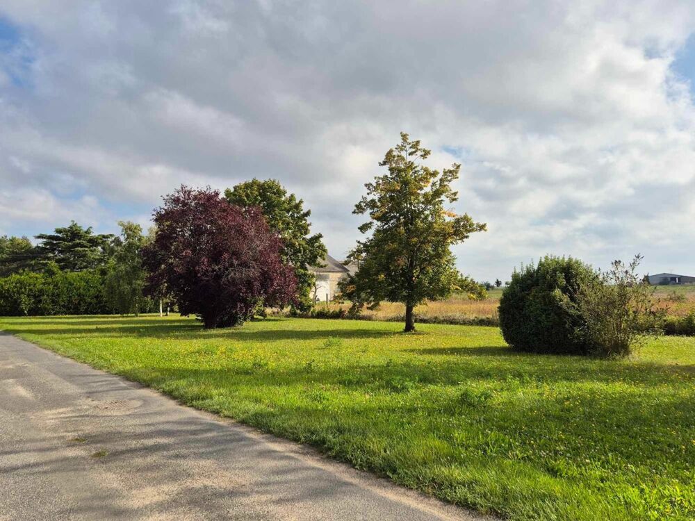 Vente Terrain Terrain constructible de 758 m² Courcelles le roi