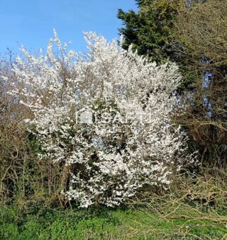  Terrain � vendre 3522 m�