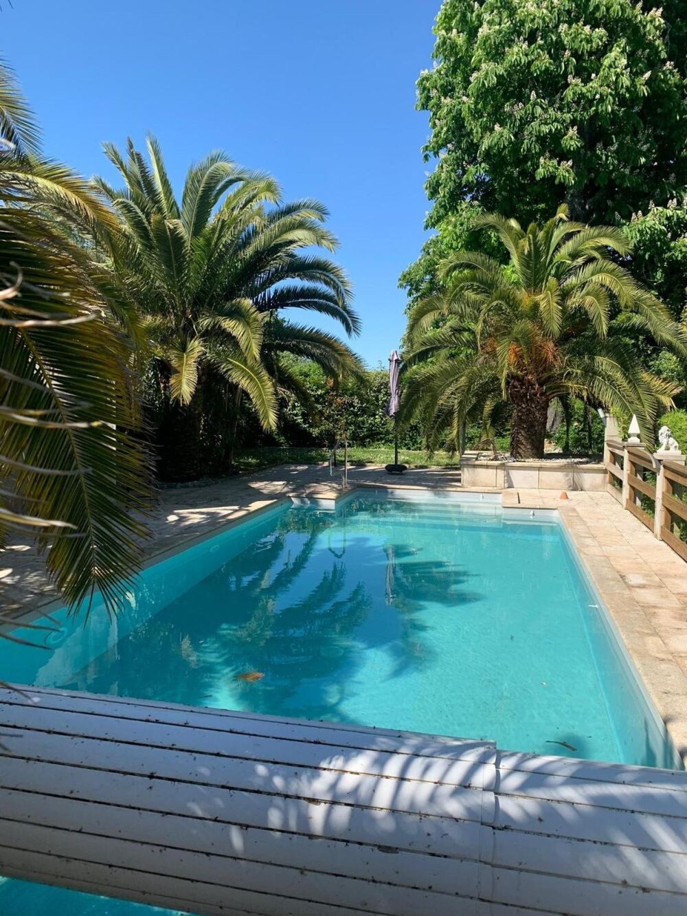Villa de 170m² 3chs, piscine, 2000m² de terrain arboré