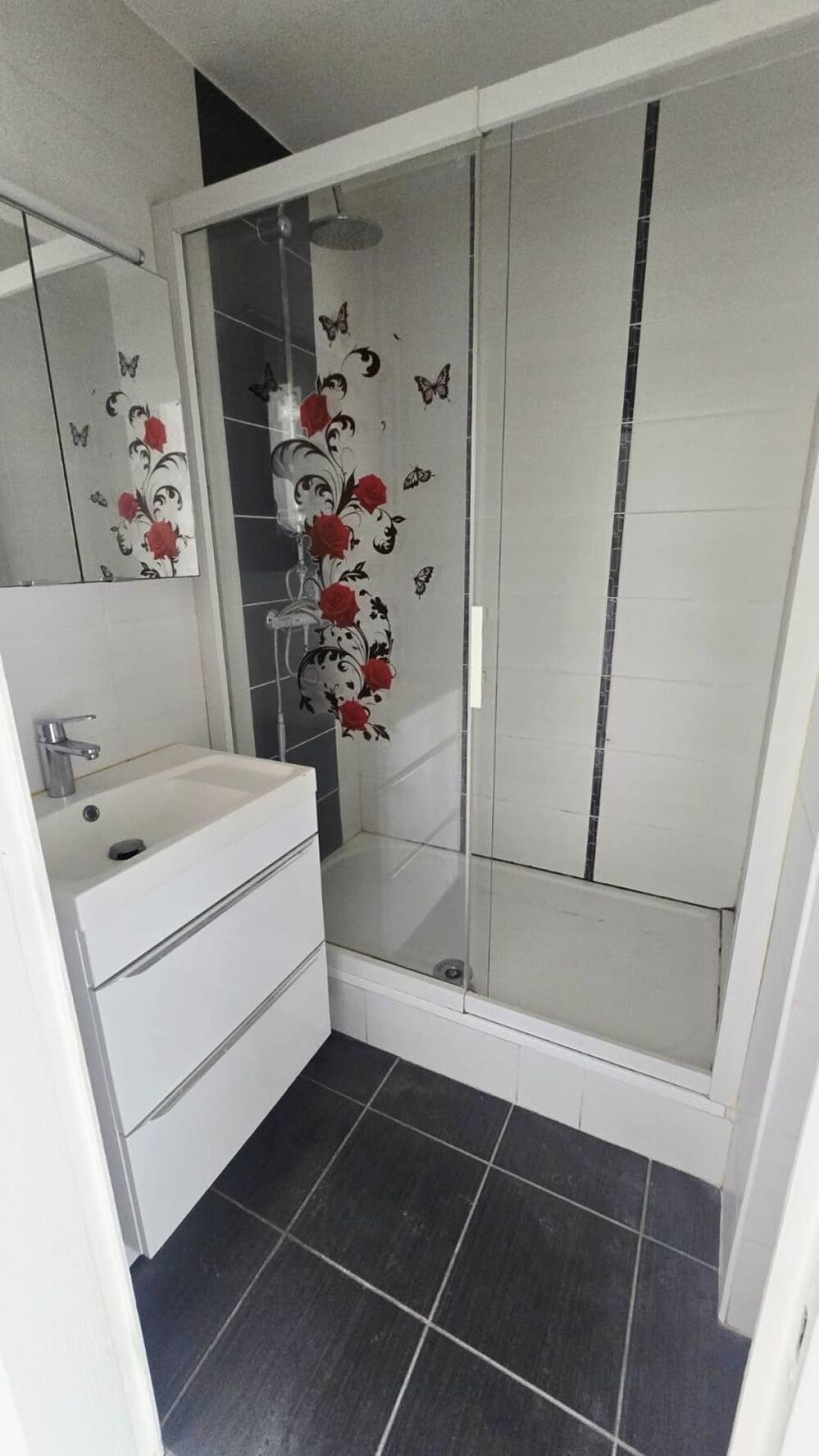 Vente Appartement T3 entièrement rénové – 55,55 m² – 2 balcons – Ascenseur – Cave Saint-etienne