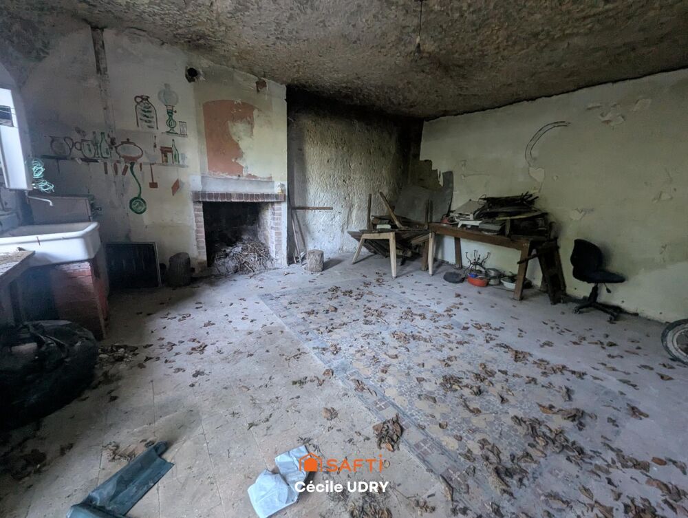 Vente Maison Maison atypique et caves troglodytes ! Montlouis-sur-loire
