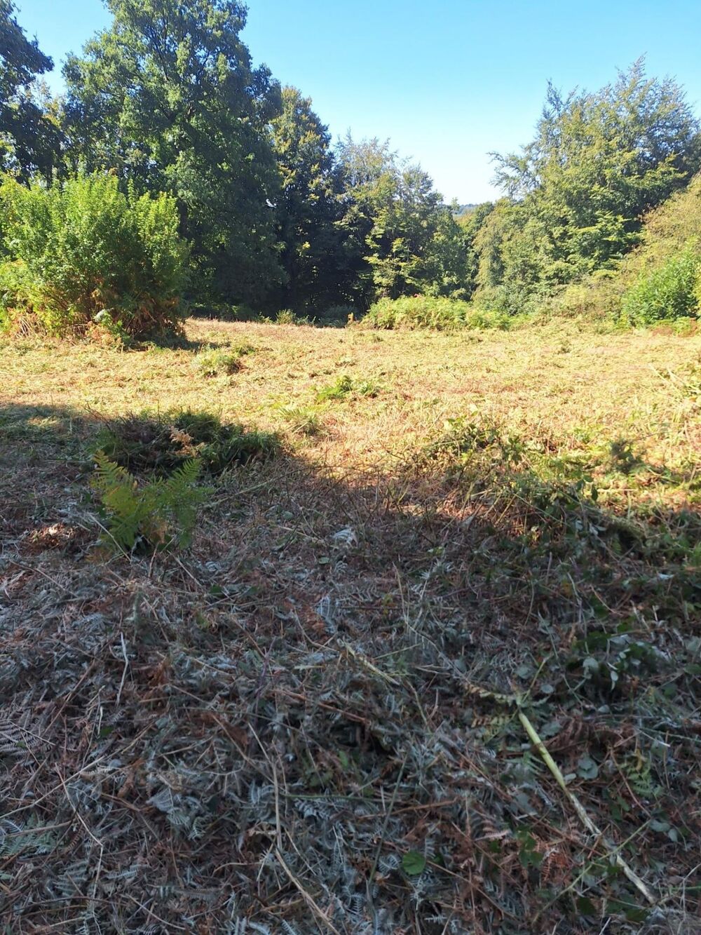 Vente Terrain au calme Tinchebray-bocage