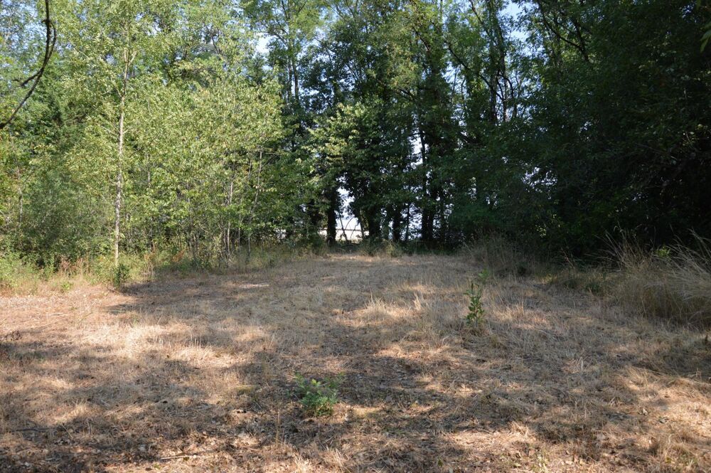 Vente Terrain Recréer votre propre coin de paradis, en toute simplicité Paulinet