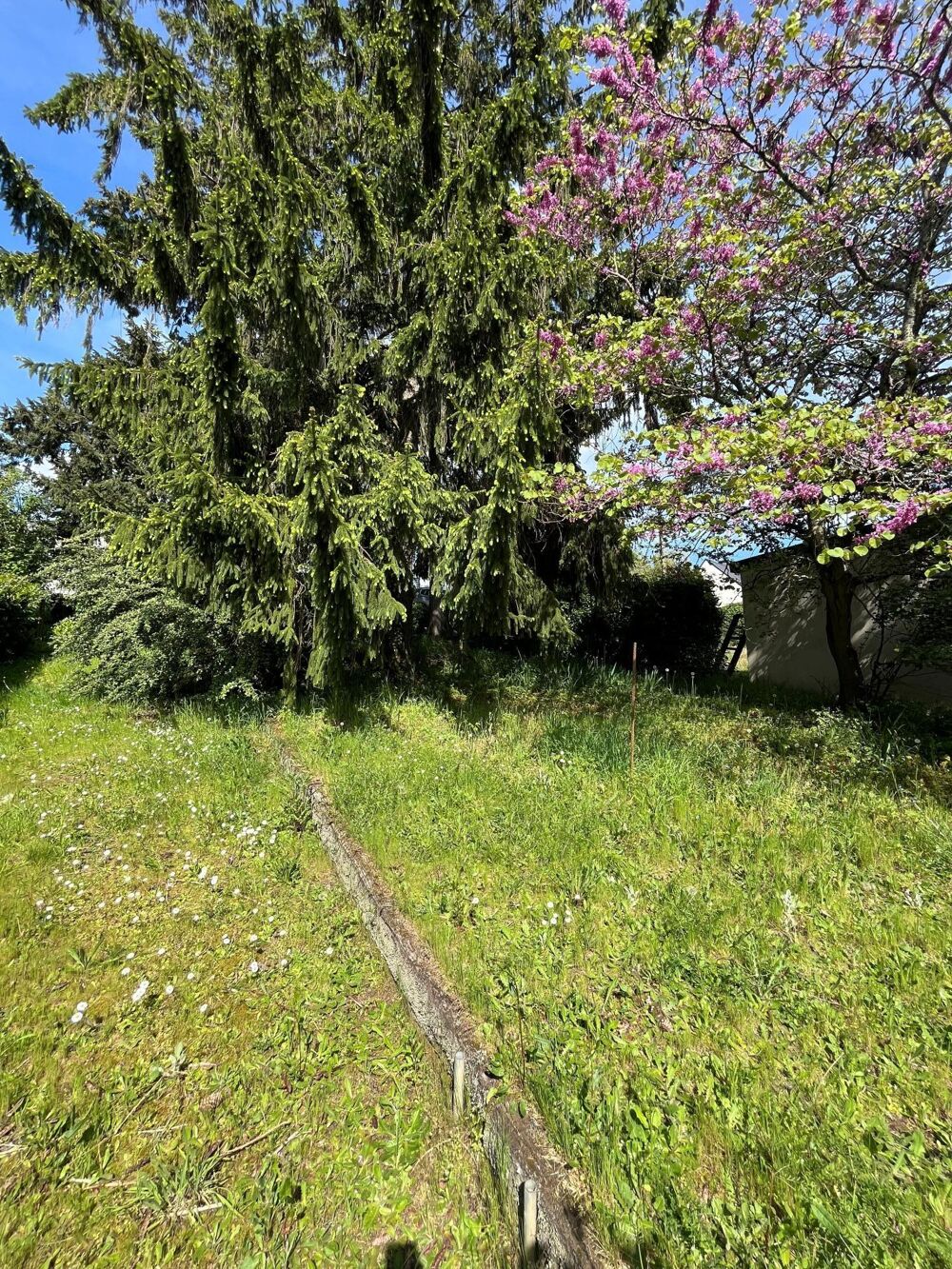 Vente Terrain TERRAIN A VENDRE, dans le bourg de Savenay Savenay