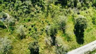  Terrain � vendre 6922 m�
