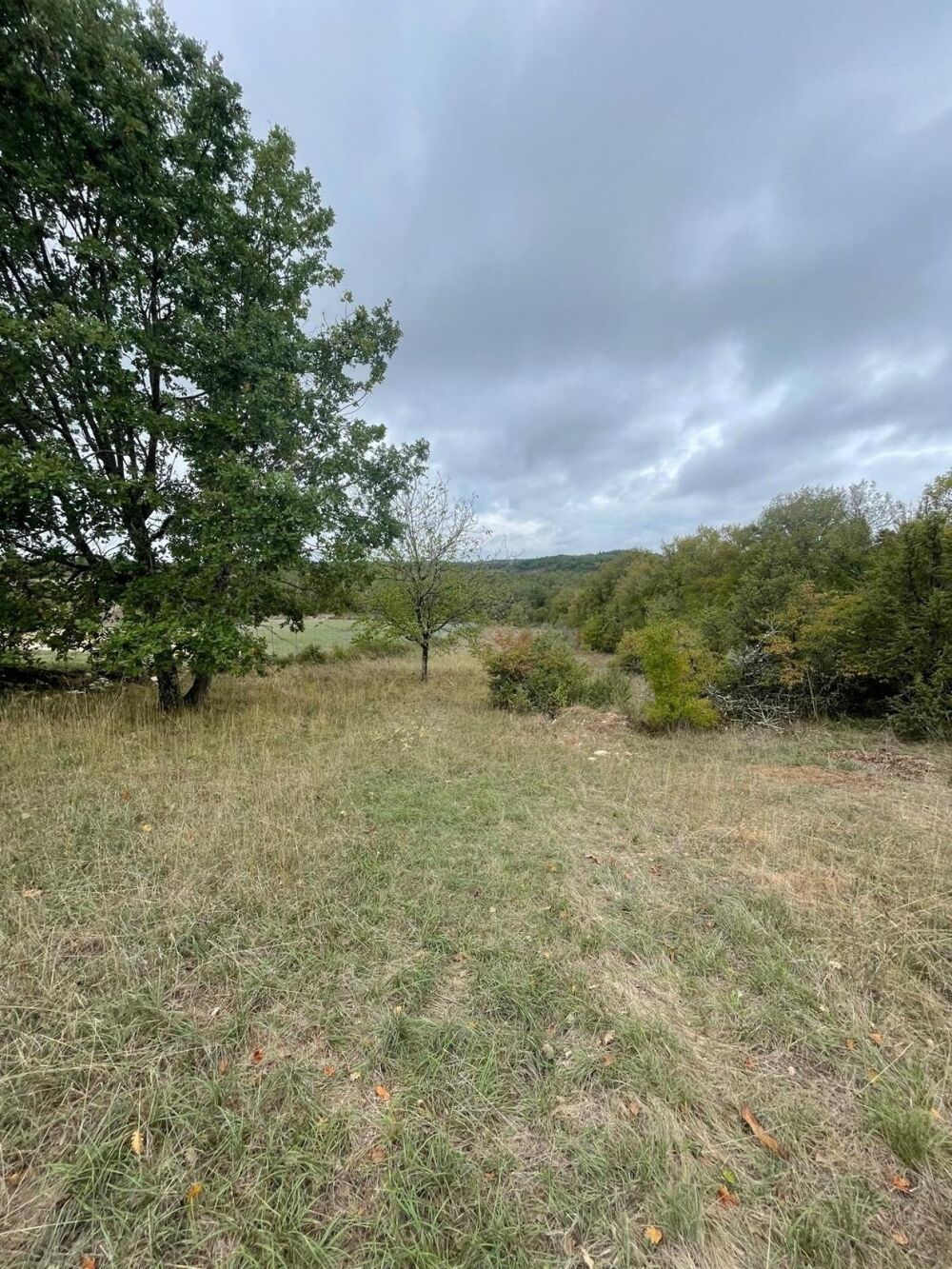 Vente Terrain BEAU TERRAIN PLAT CONSTRUCTIBLE Cieurac