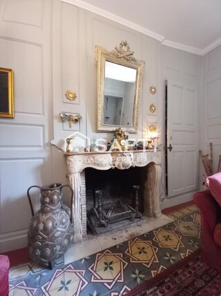  H�tel Particulier � vendre 12 pi�ces 318 m�