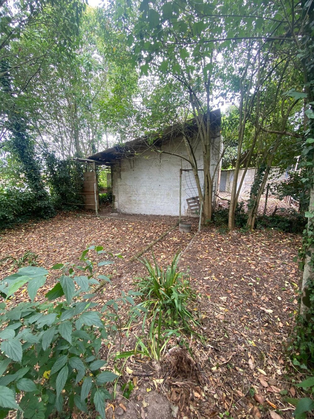 Vente Terrain tERRAINDE 114m2+ cabanon de 15m2 Niort