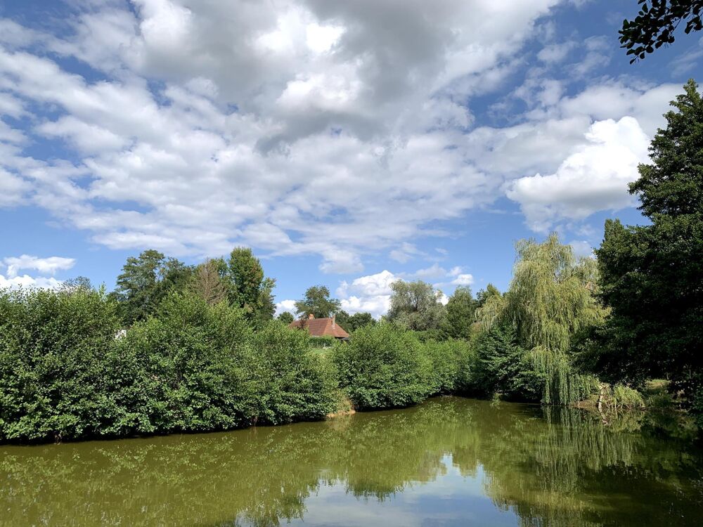 Vente Maison Magnifique ferme Bressane avec étang Thurey