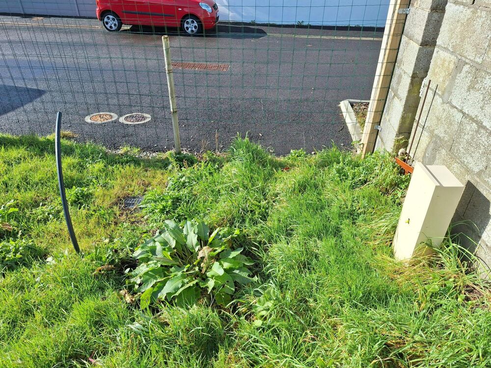 Vente Terrain Terrain Hors Lotissement Les sables-d'olonne