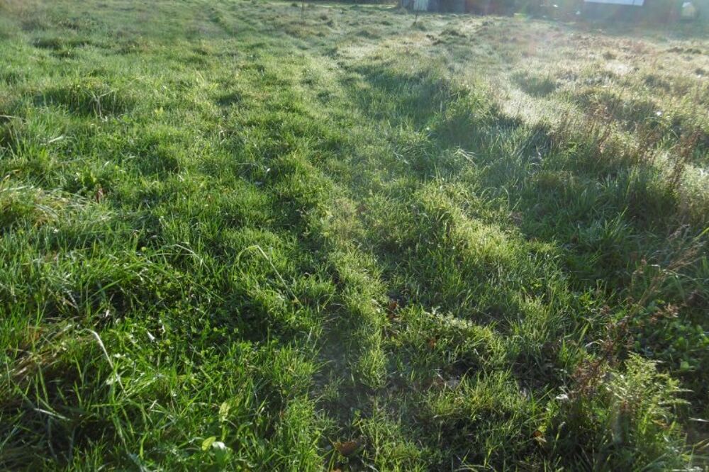 Vente Terrain A saisir rapidement terrain constructible de 1816 m2 Segre en anjou bleu