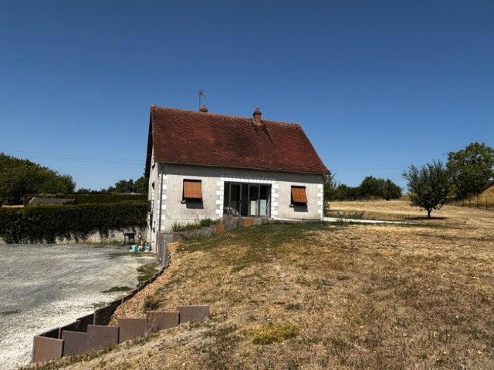 Loches, produit rare, beau potentiel, maison familiale !