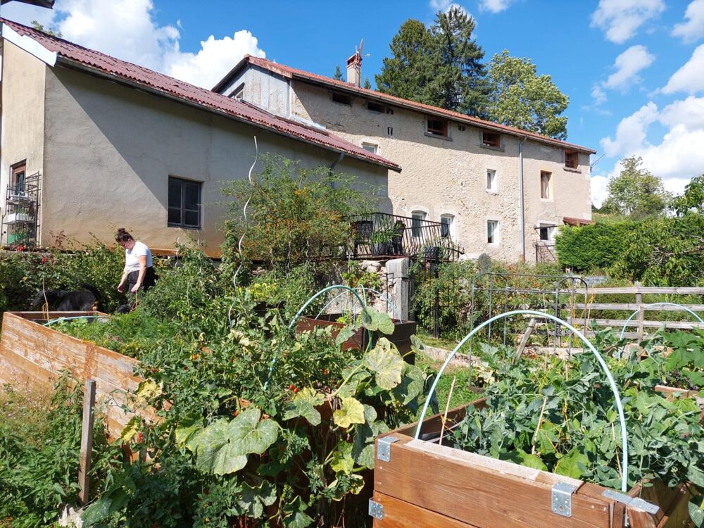 Propriété : Maison habitation et Gîtes à exploiter proche de Lamoura.