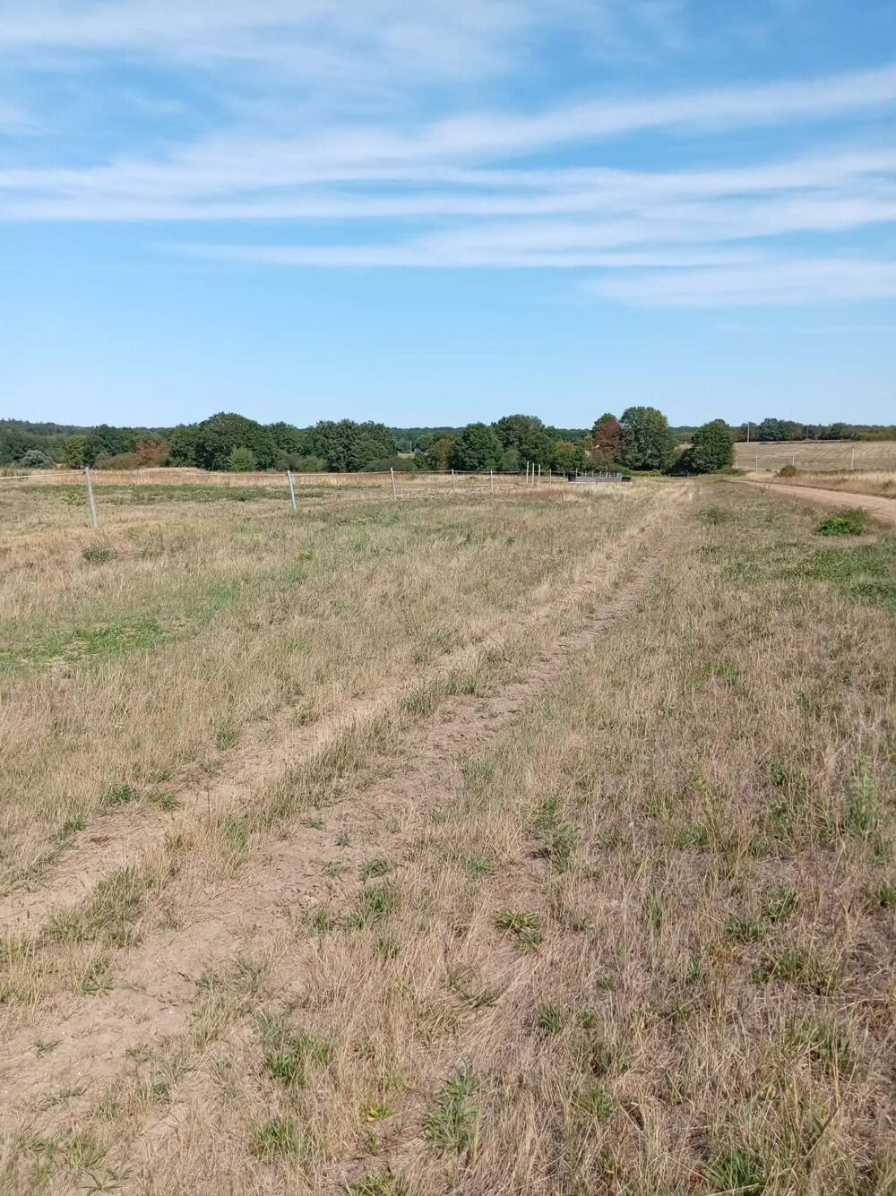 Vente Terrain terrain agricole pour elevage chevaux avec piste d'entrainement au calme La guerche-sur-l'aubois