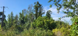  Terrain � vendre 772 m�