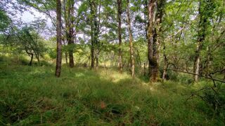  Terrain � vendre 2624 m�