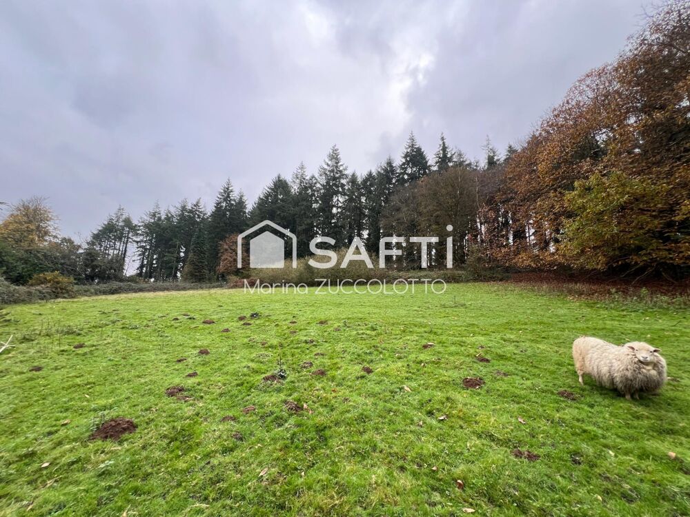 Vente Terrain Terrain 1,2 hectare ave Etang Meneac