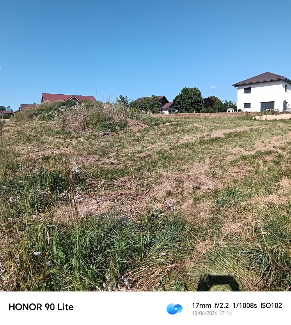 Vente Terrain Terrain à bâtir à LEVIER   978 m2 Levier