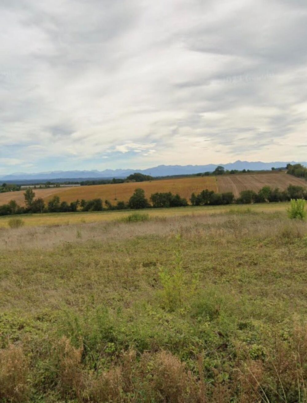 Vente Terrain OPPORTUNITÉ LOTISSEUR / MARCHAND DE BIENS :Terrain à bâtir de 7877 m2 Sainte-dode