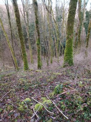  Terrain à vendre 6175 m²