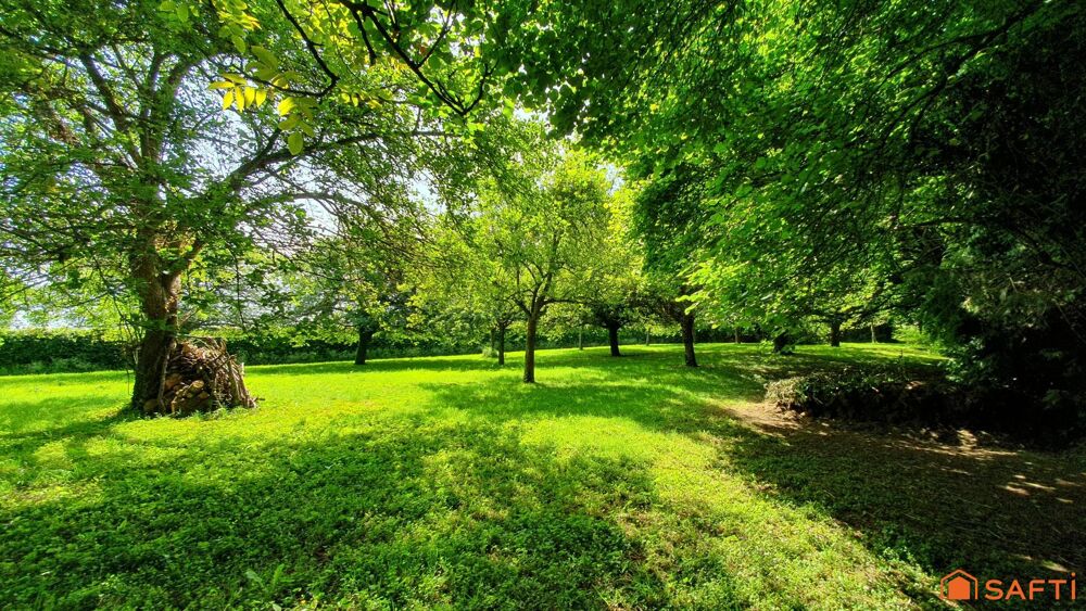 Vente Maison Belle maison de Maître, 5-6 chambres, 1Ha de terrain Pont-l'eveque