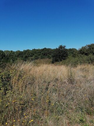  Terrain � vendre 24965 m�