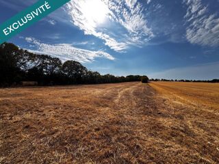  Terrain à vendre 7040 m²
