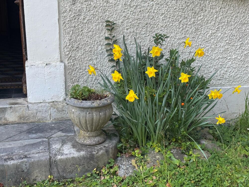 Vente Maison Maison de maître à fort potentiel ! Bidos