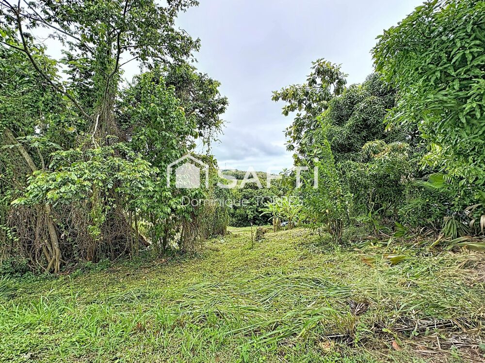 Vente Terrain TRINITE : Beau Terrain de 1075 m²  Vue dégagée La trinite