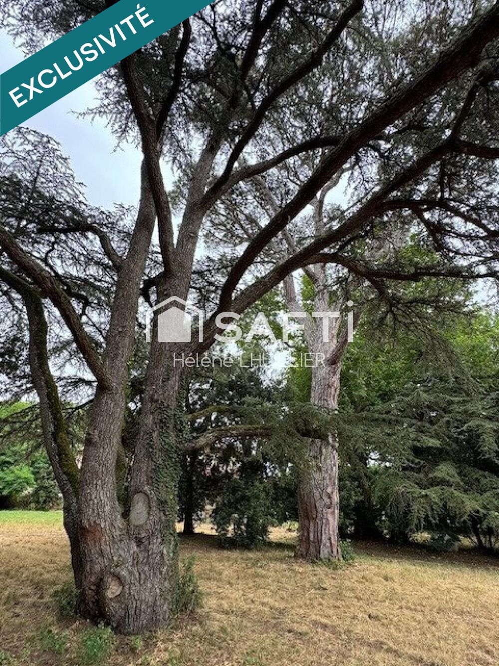  vendre  Maison Vernet (31810)