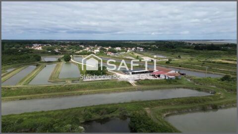   DOMAINE MARITIME RARE – SITE CONCHYLICOLE & AQUACOLE – ÎLE D'OLÉRON 
