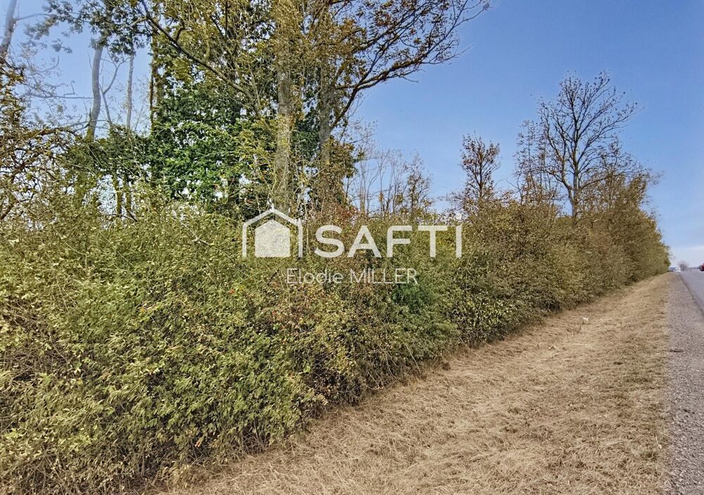 Vente Terrain 5 855 m² de parcelle boisée Voinemont