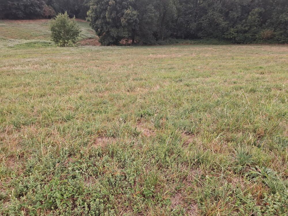 Vente Terrain Terrain - 1870m² Payrin-augmontel
