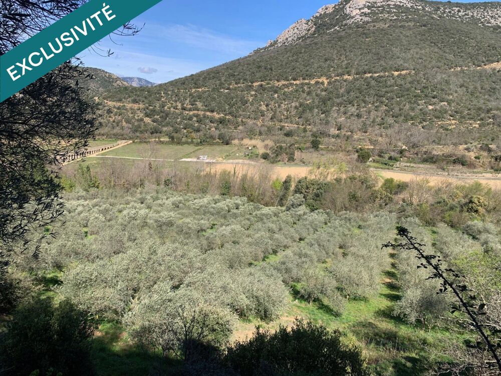 Vente Terrain OLIVERAIE Ansignan