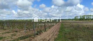  Terrain à vendre 32000 m²