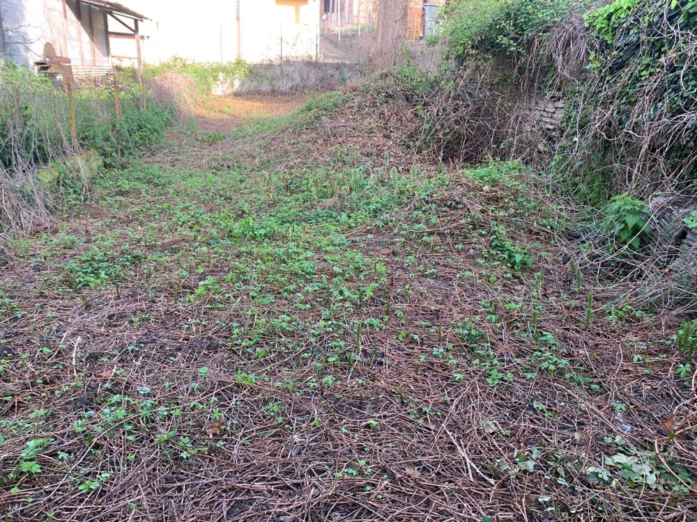 Vente Immeuble garage et terrain en zone urbaine Valence