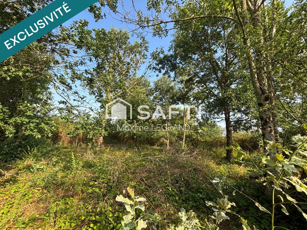 Vente Terrain Jolie terrain de loisir arboré et viabilisé. La croupte