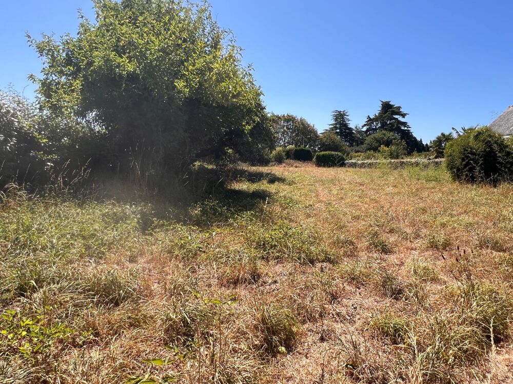 Vente Terrain Terrain constructible de 1678 m² Pont-l'abbe