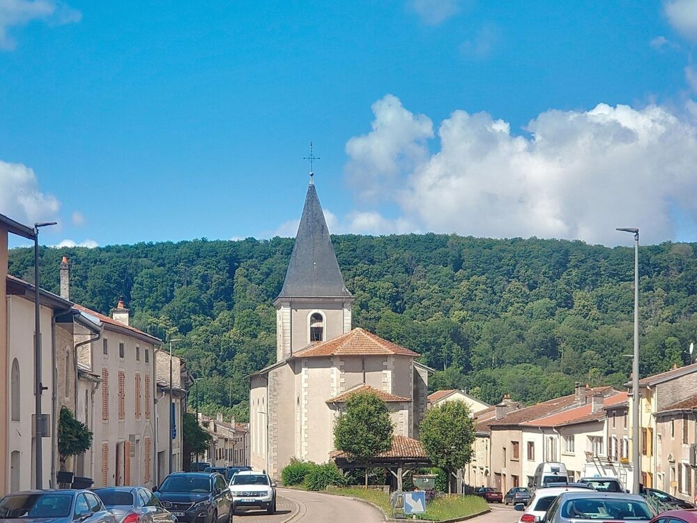 Maison Lorraine avec jardin et Garage