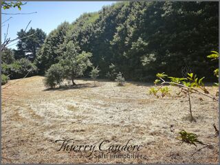  Terrain à vendre 2320 m²