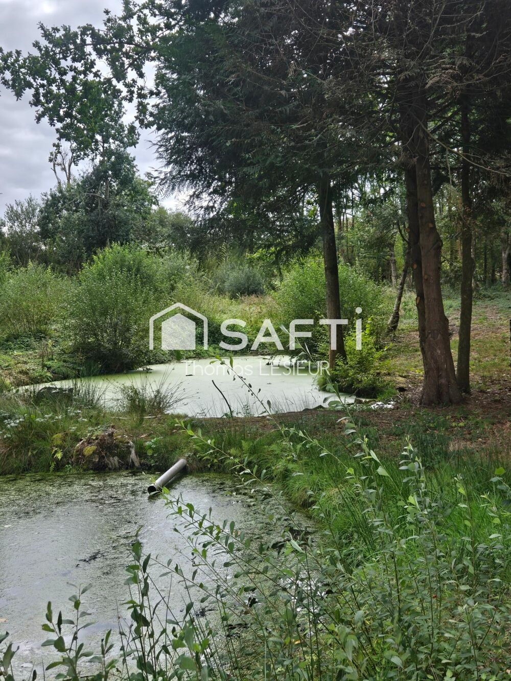 Vente Terrain Beaucoup d'espace Pre-en-pail-saint-samson
