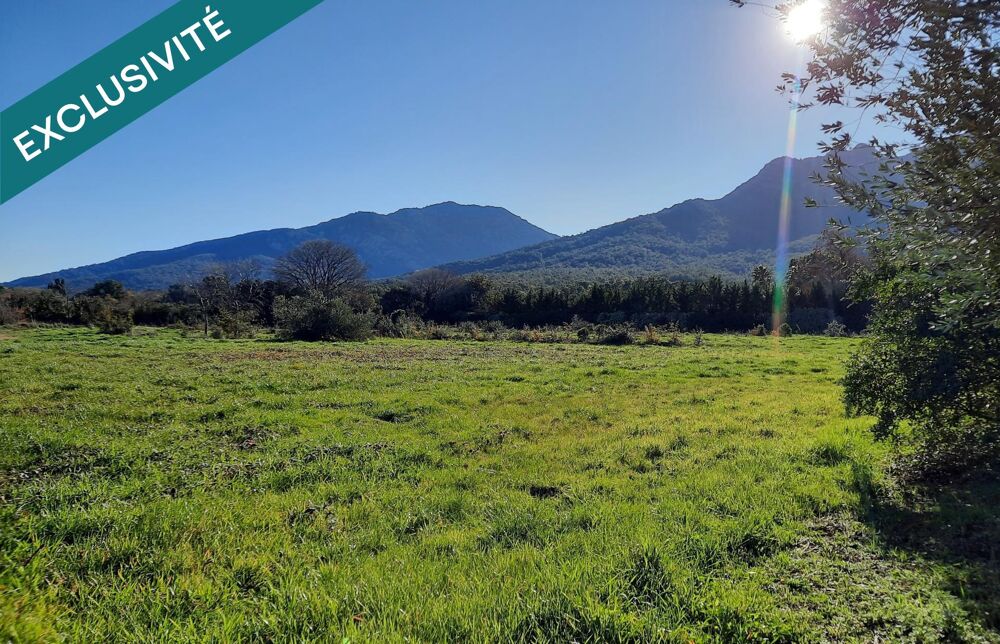 Vente Terrain Terrain � b�tir viabilis� libre de constructeur Sorede